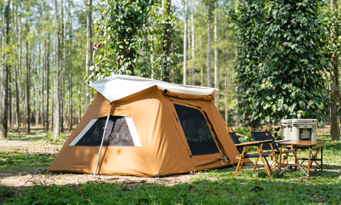 Tent in de groene natuur